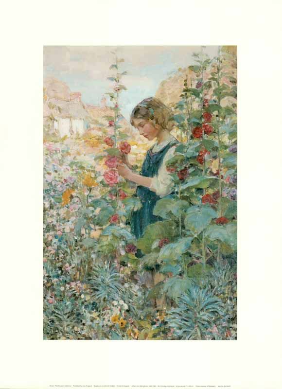 Girl Among Hollyhocks by Alfred John Billinghurst - 12 X 16 Inches (Art Print)