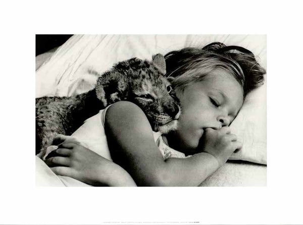 Tender Moments by John Drysdale - 12 X 16 Inches (Art Print)