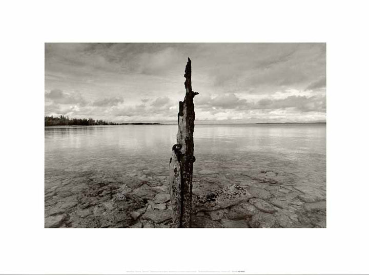 The Lake by Eddie Dayan - 12 X 16 Inches (Art Print)