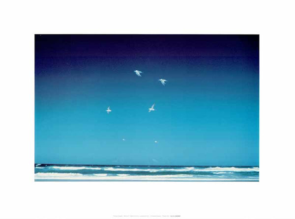 Seagulls by Fujwara - 12 X 16 Inches (Art Print)