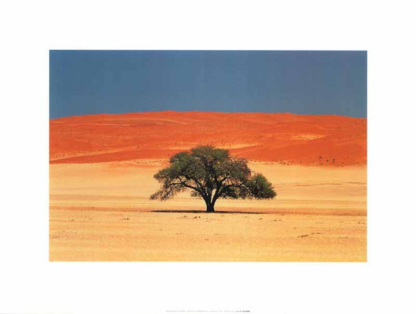 Namibia by Jean Paul Nacivet - 12 X 16 Inches (Art Print)
