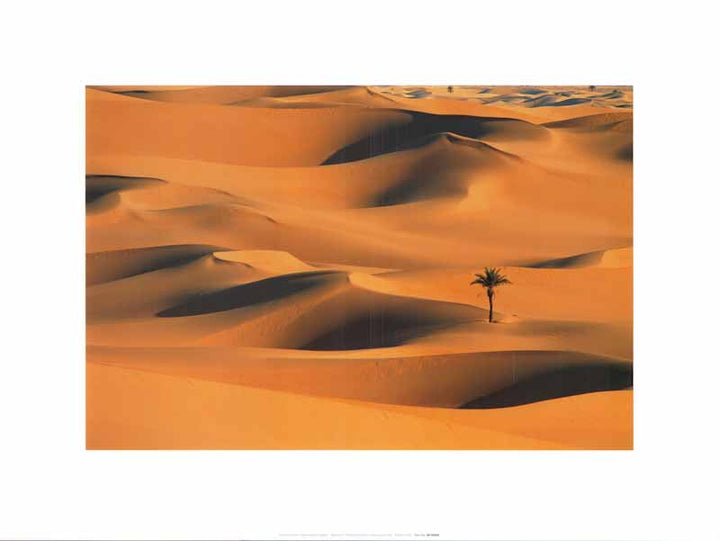 Desert Dunes, Algeria by Frans Lemmens - 12 X 16 Inches (Art Print)