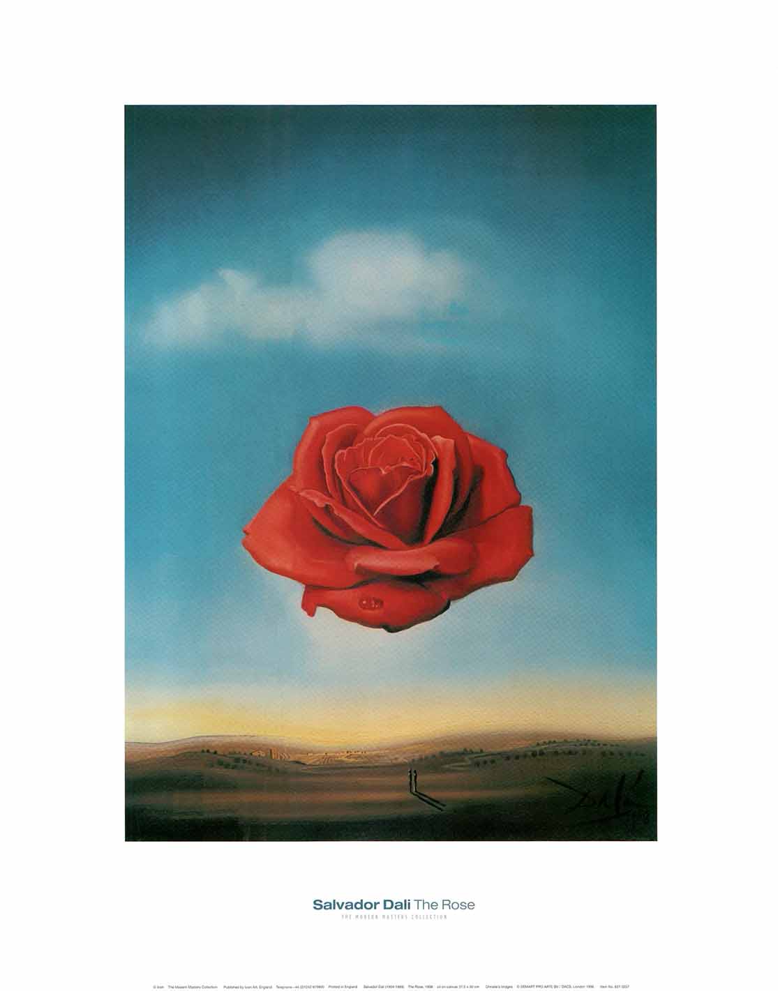 Dali Bleeding Roses The Rose, 1958 by Salvador Dali - 16 X 20 Inches (Art Print ...
