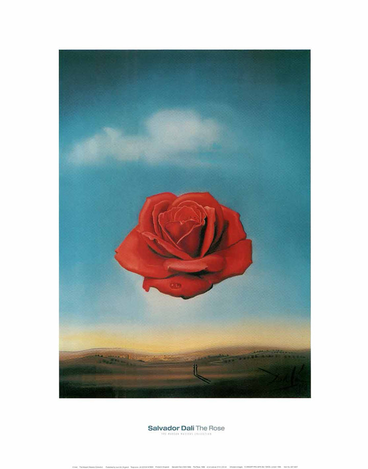 The Rose, 1958 by Salvador Dali - 16 X 20 Inches (Art Print)