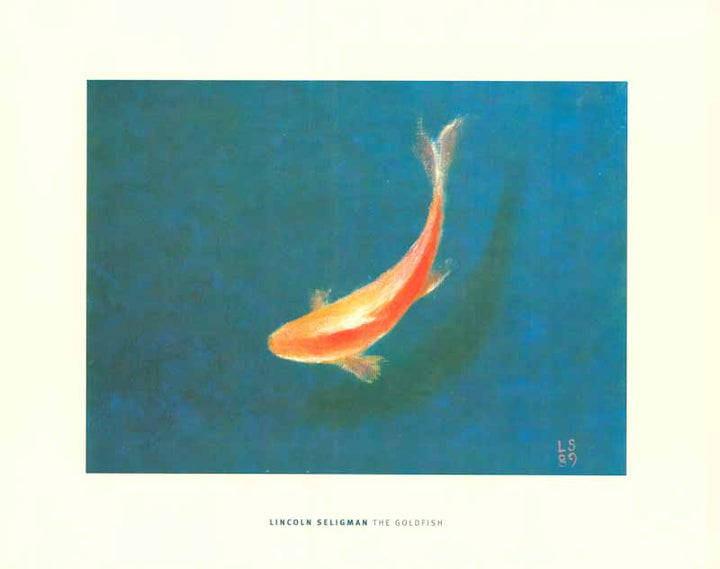 The Goldfish by Lincoln Seligman - 16 X 20 Inches (Art Print)
