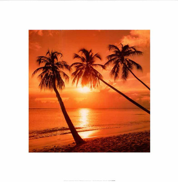 Tropical Sunset by Bob Thomas - 16 X 16 Inches (Art Print)