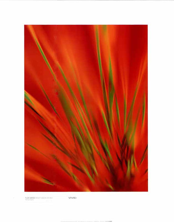 Flexi Grass Bright Green On Red by Michael Banks - 16 X 20 Inches (Art Print)