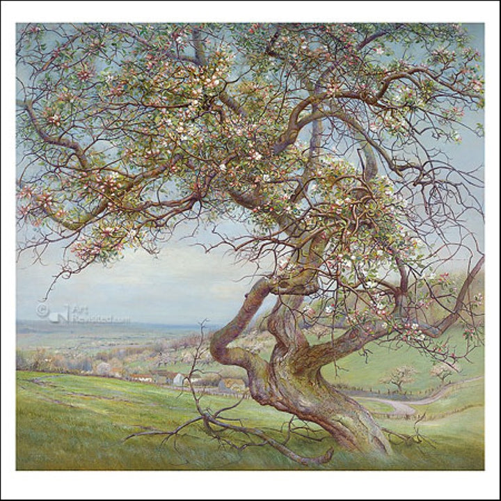 Blooming apple tree by Patrick Creyghton - 6 X 6" (Greeting Card)