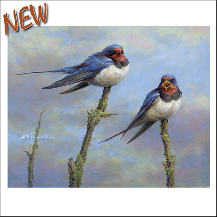 Barn swallows by Erik van Ommen - 6 X 6" (Greeting Card)