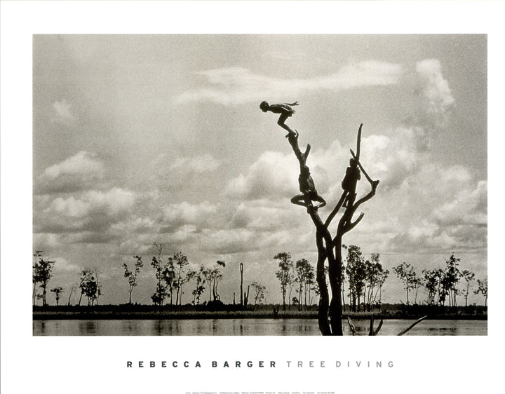 Tree Diving by Keith Carter - 24X 32 Inches (Art Print)