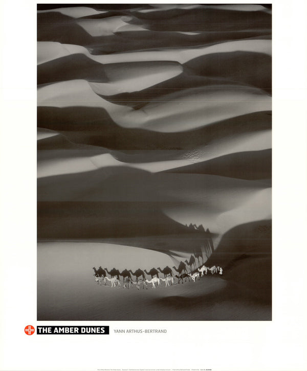 The Amber Dunes by Yann Arthus-Bertrand