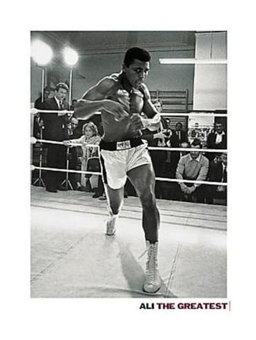 Muhammad Ali "The Greatest - Shadow Boxing" - 24 X 32 Inches (Art Print)