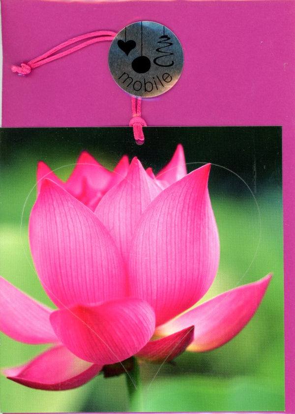 Lotus Flower (Heart-Shaped)
