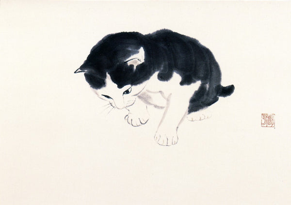 Intrigued Kitten / Chaton Intrigué, 1986