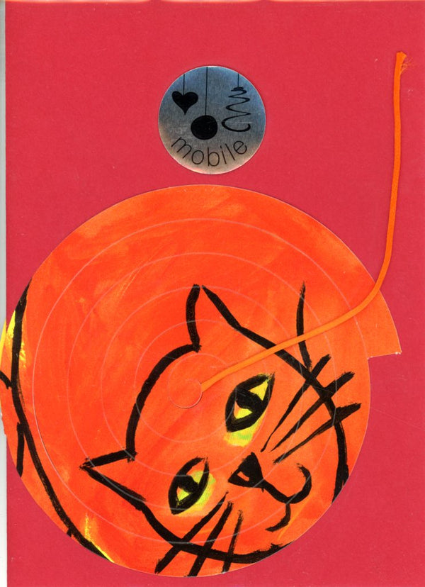 Orange Cat / Chat Orange (Spiral)