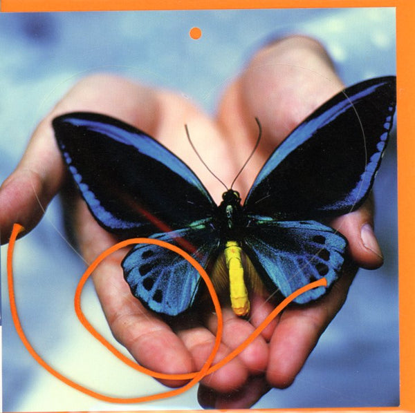 Butterfly / Papillon (Heart-Shaped)