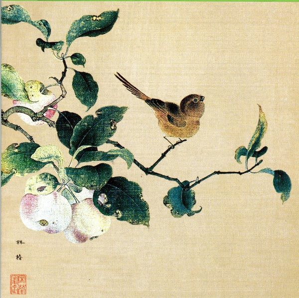 Oiseau et pommes par Lin-Choun - 6 X 6 pouces (carte de vœux)