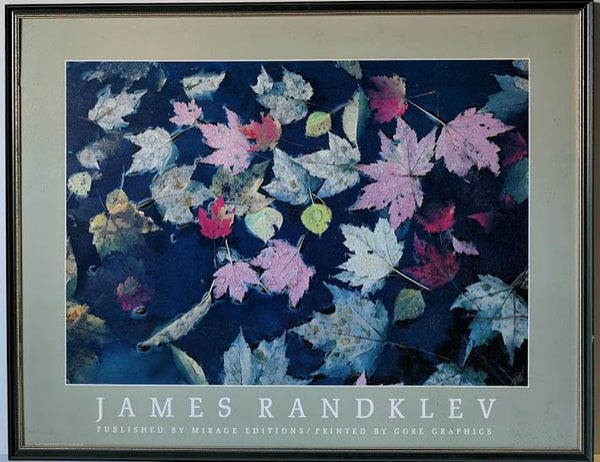 Piscine de feuilles par James Randklev - 29 X 36 pouces (giclée encadrée sur Masonite prête à accrocher)