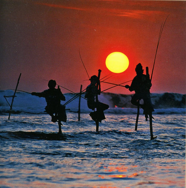 Stilt Fishermen, Sri Lanka by David Noton - 6 X 6 Inches (Note Card)