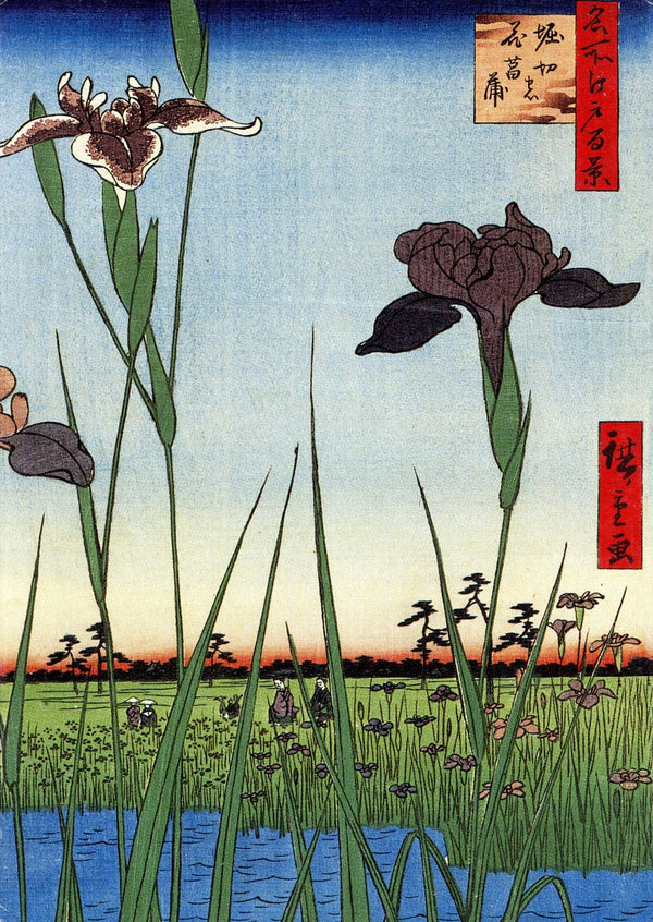 Série Des Cent Vues D'Edo, Le Jardin D'iris À Horikiri, 1857 by Hiroshige - 5 X 7" (Greeting Card)