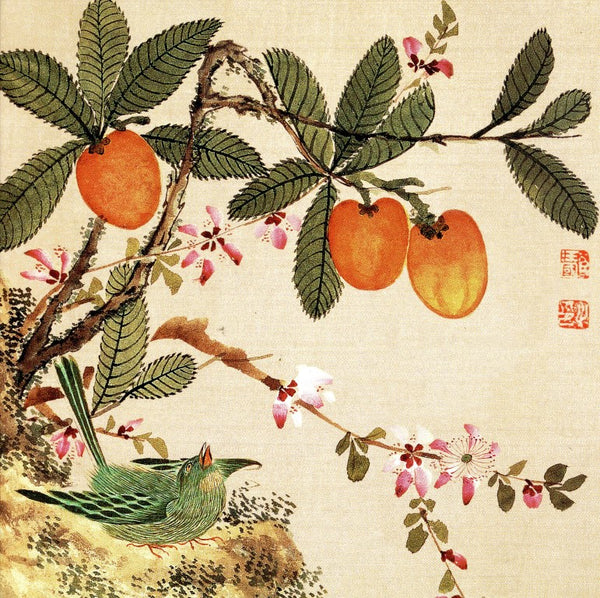 Bird and Fruits by Guochen Wang - 6 X 6 Inches (Greeting Card)