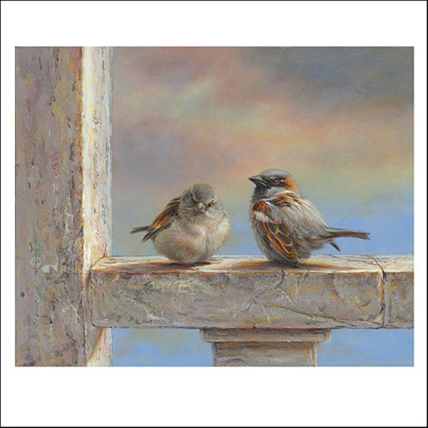 Sparrows by Erik van Ommen - 6 X 6" (Greeting Card)
