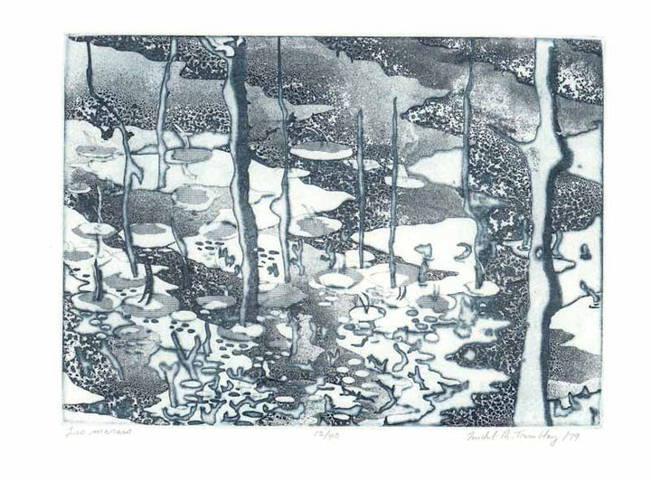 Les Marais, 1979 by Michel Thomas Tremblay - 11 X 15 Inches (Etching Titled, Numbered & Signed) 12/40