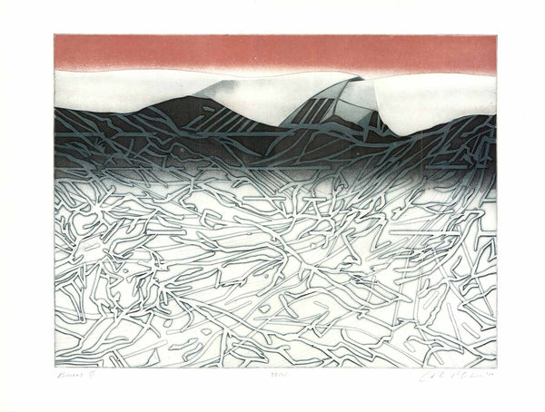 Boreas II, 1979 by John K. Esler - 22 X 30 Inches (Etching Titled, Numbered & Signed) 39/75