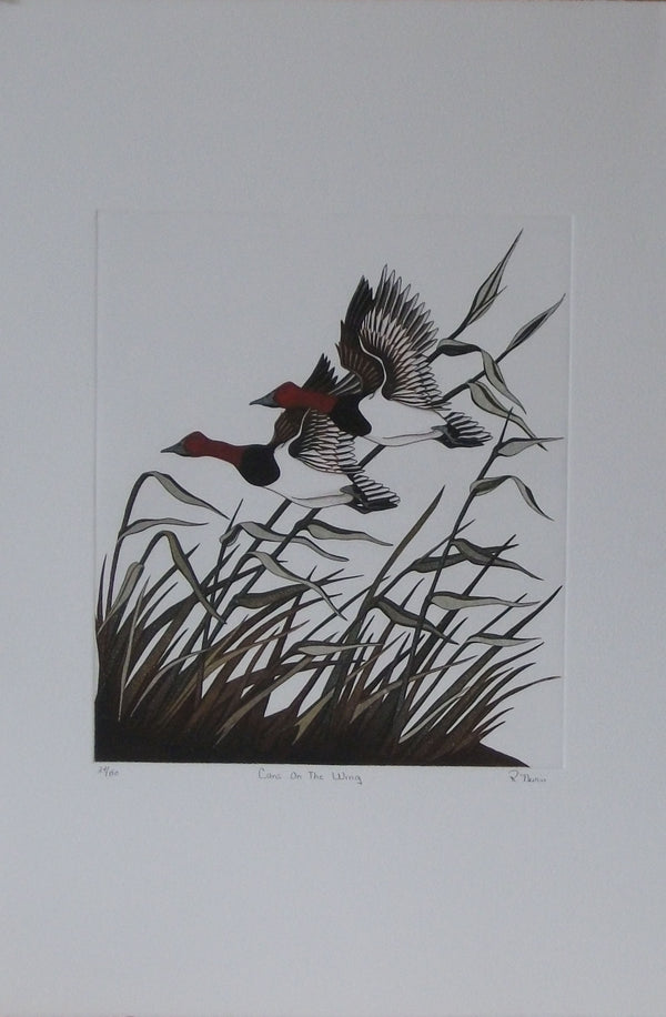 Cans On The Wing by Reita Nevin Quinlan - 15 X 22 Inches (Original Etching Numbered & Signed) 24/150