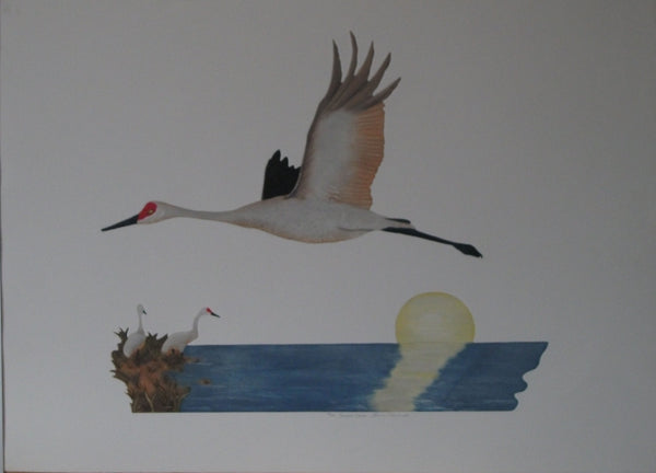 Sandhill Crane by Laura Nevin - 22 X 30 Inches (Original Etching Numbered & Signed) 18/100
