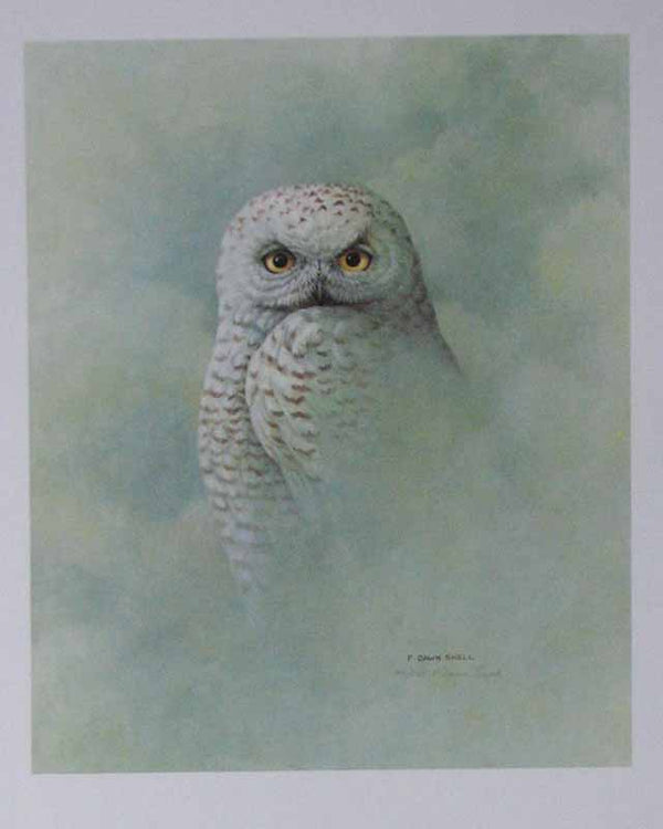 Hibou by F. Dawn Snell - 20 X 23 Inches (Lithograph Titled & Signed) 140/225