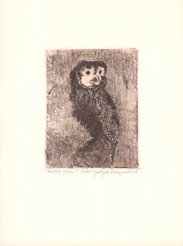 Tawny Owl by Joseph Prezament - 8 X 10 Inches (Etching Titled, Numbered & Signed) 21/100