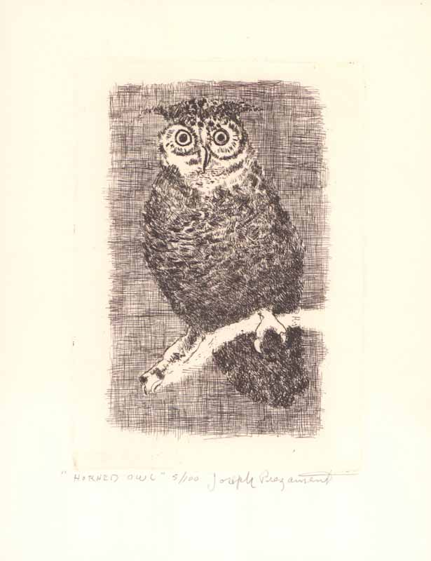 Horned Owl by Joseph Prezament - 8 X 10 Inches (Etching Titled, Numbered & Signed) 5/100