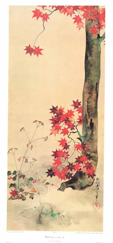 Maple Leaves by Sakai Oho - 17 X 35 Inches (Art Print)