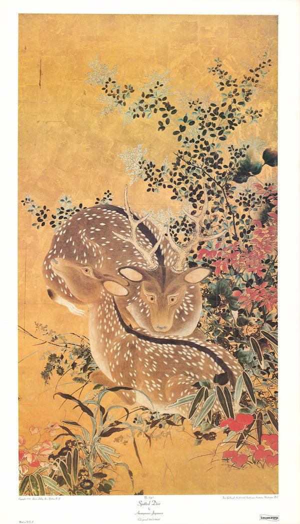 Spotted Deer by Anonymous Japanese - 20 X 35 Inches (Art Print)