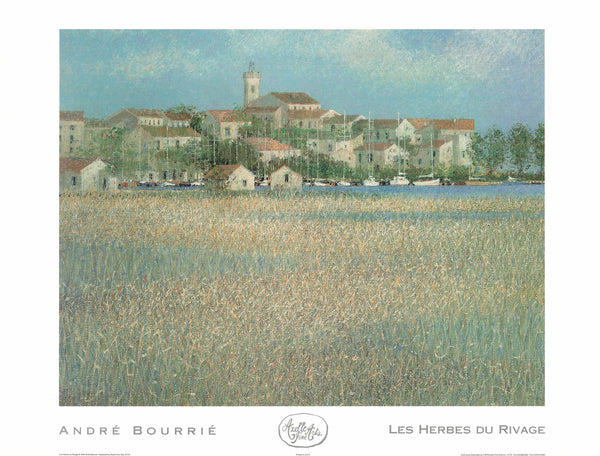 Les Herbes du Rivage by André Bourrié - 27 X 35 (Art Print