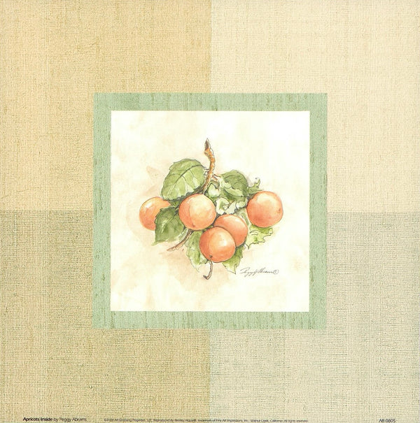 Apricot Inside by Peggy Abrams - 9 X 9 Inches (Art Print)