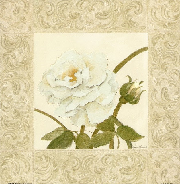 Windsor Rose II by Peggy Abrams - 9 X 9 Inches (Art print)