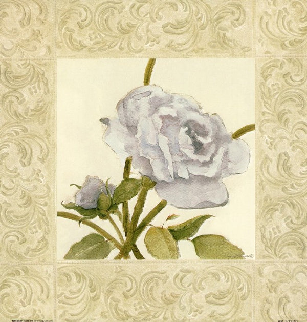 Windsor Rose IV by Peggy Abrams - 9 X 9 Inches (Art print)