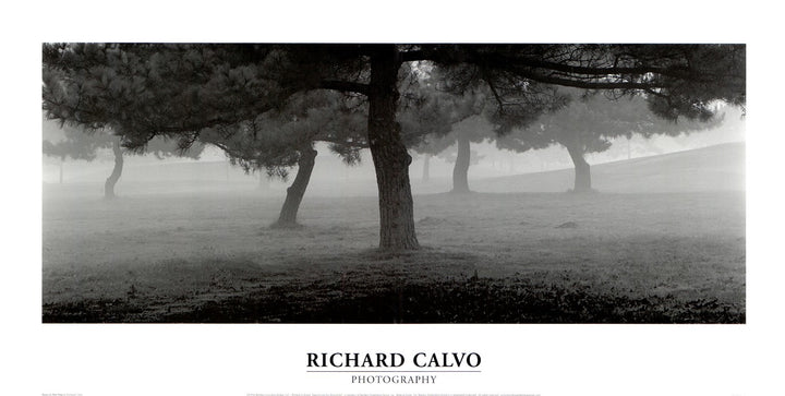 Trees in The Fog by Richard Calvo - 11 X 22 Inches (Art print)
