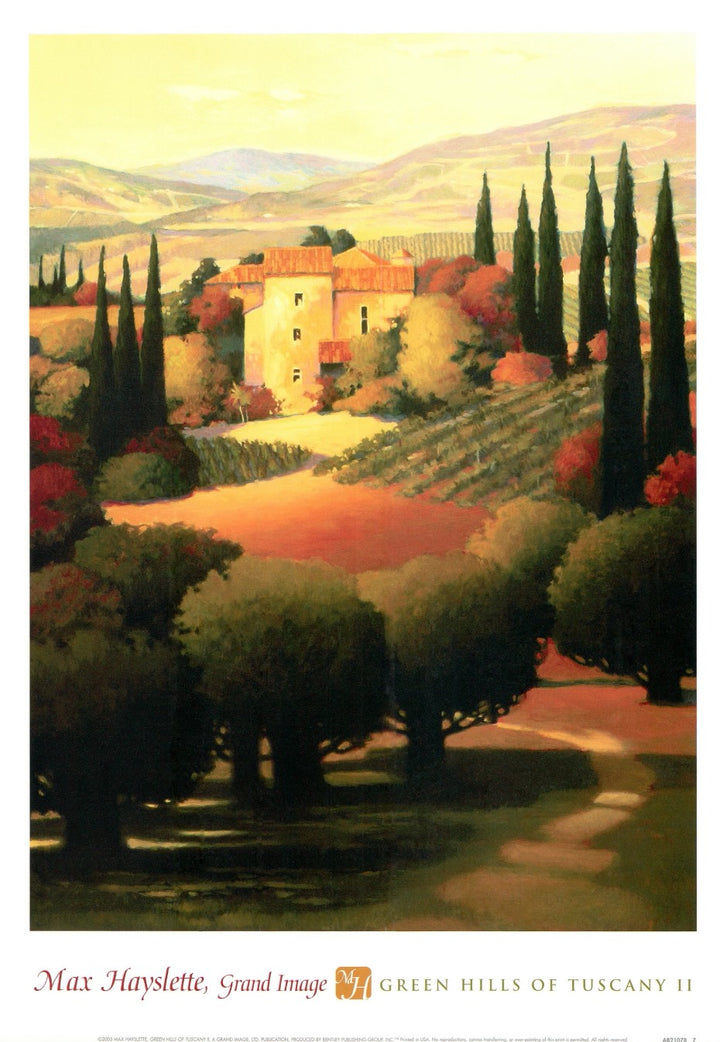 Green hills of Tuscany II by Max Hayslette - 14 X 19 Inches (Art print)