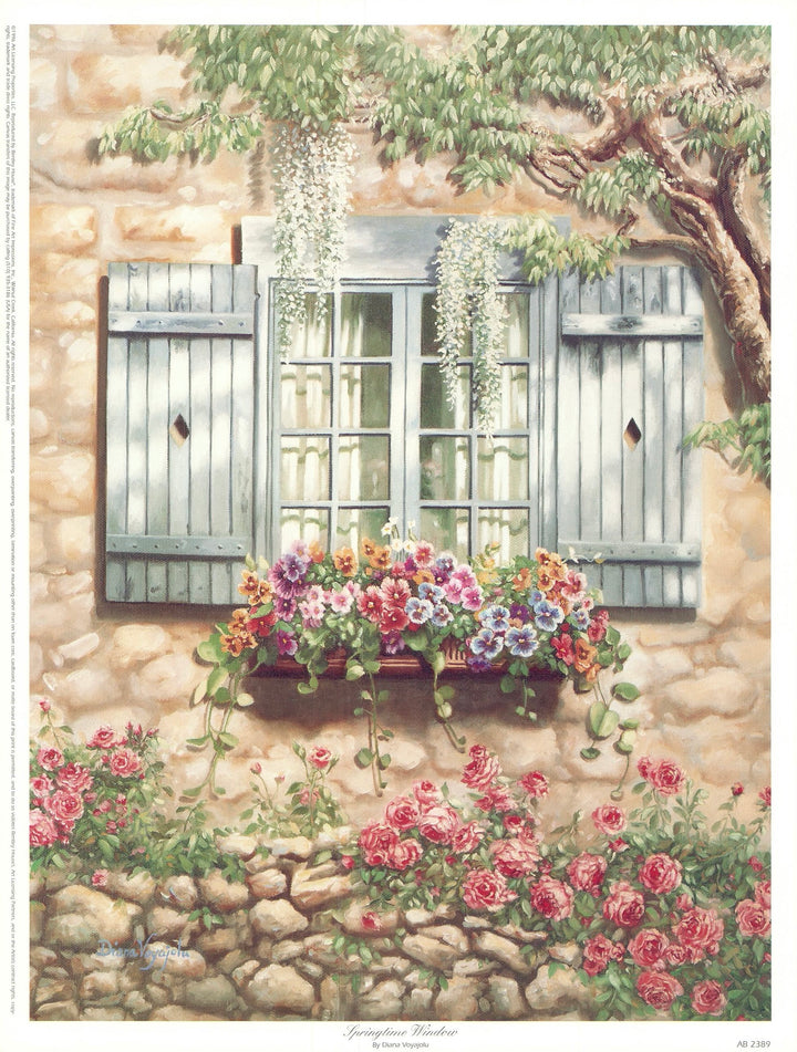 Springtime Window by Diana Voyajolu - 13 X 17 Inches (Art Print)