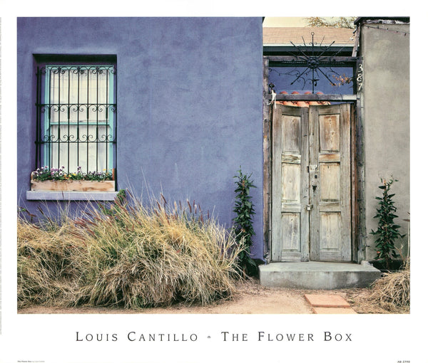 The flower box by Louis Cantillo - 15 X 18 Inches (Art Print)
