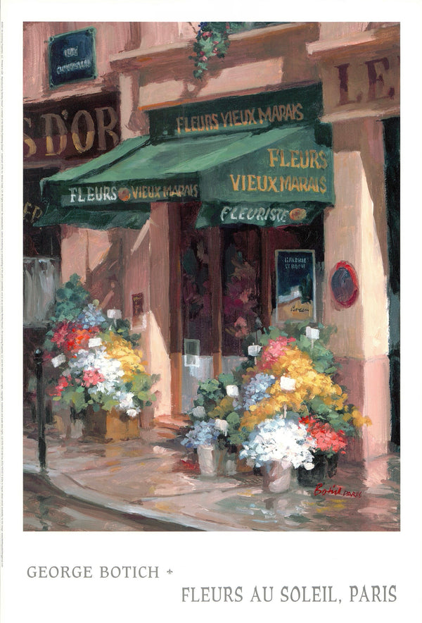 Fleurs au soleil, Paris by George Botich - 14 X 20 Inches (Art Print)
