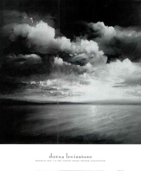 Moonlit Bay I by Donna Levinstone - 16 X 19  Inches (Art Print)