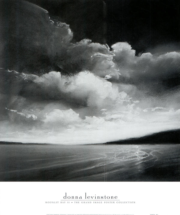 Moonlit Bay II by Donna Levinstone - 16 X 19  Inches (Art Print)