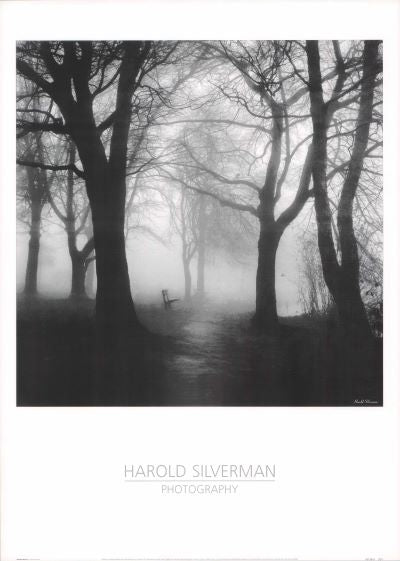 Wooded Bench by Harold Silverman - 20 X 28 Inches (Art Print)