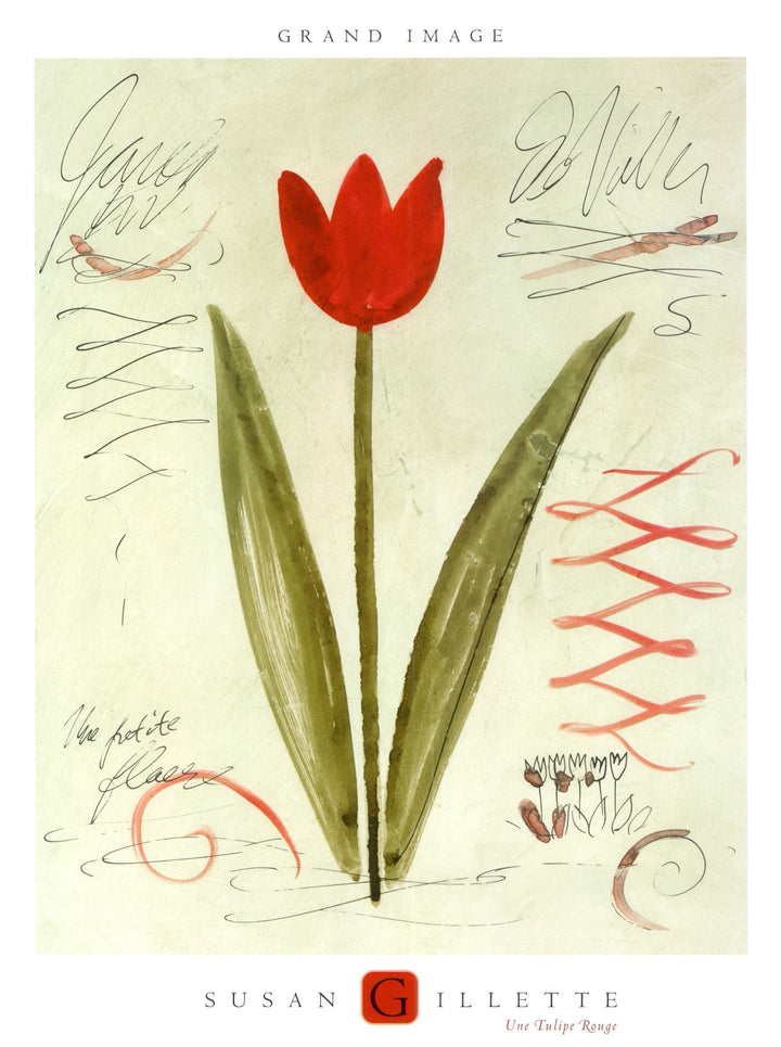 Une Tulipe Rouge by Susan Gillette - 18 X 24 Inches (Art print)