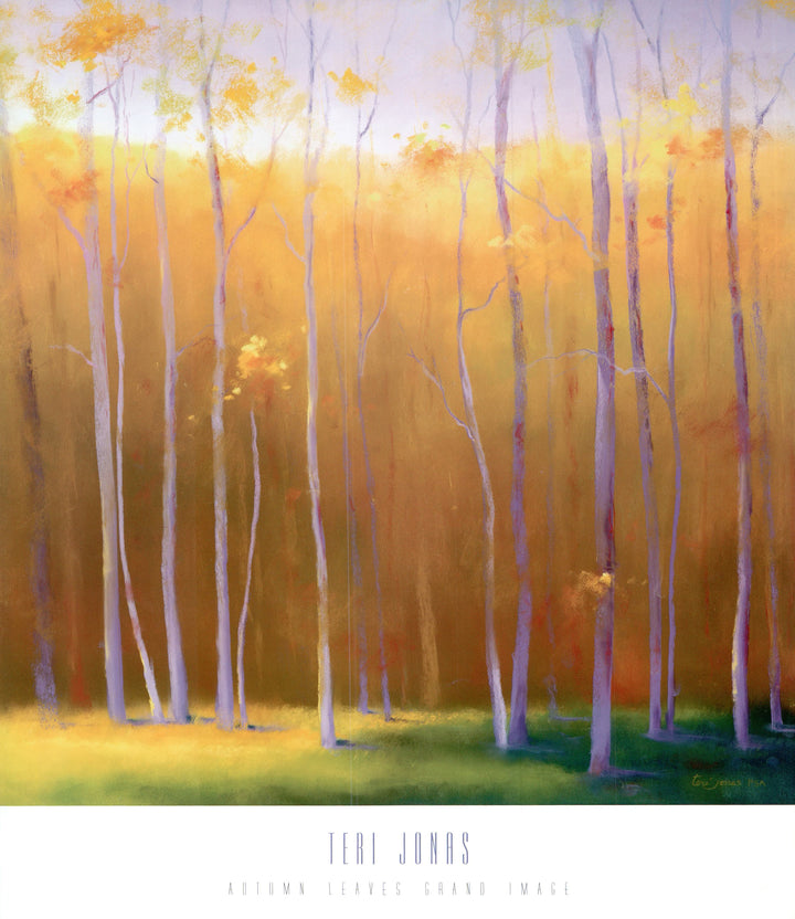 Autumn Leaves by Teri Jonas - 20 X 23 Inches (Art Print)
