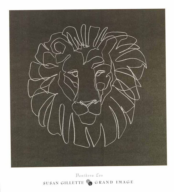 Panthera Leo by Susan Gillette - 28 X 30 Inches (Art Print)